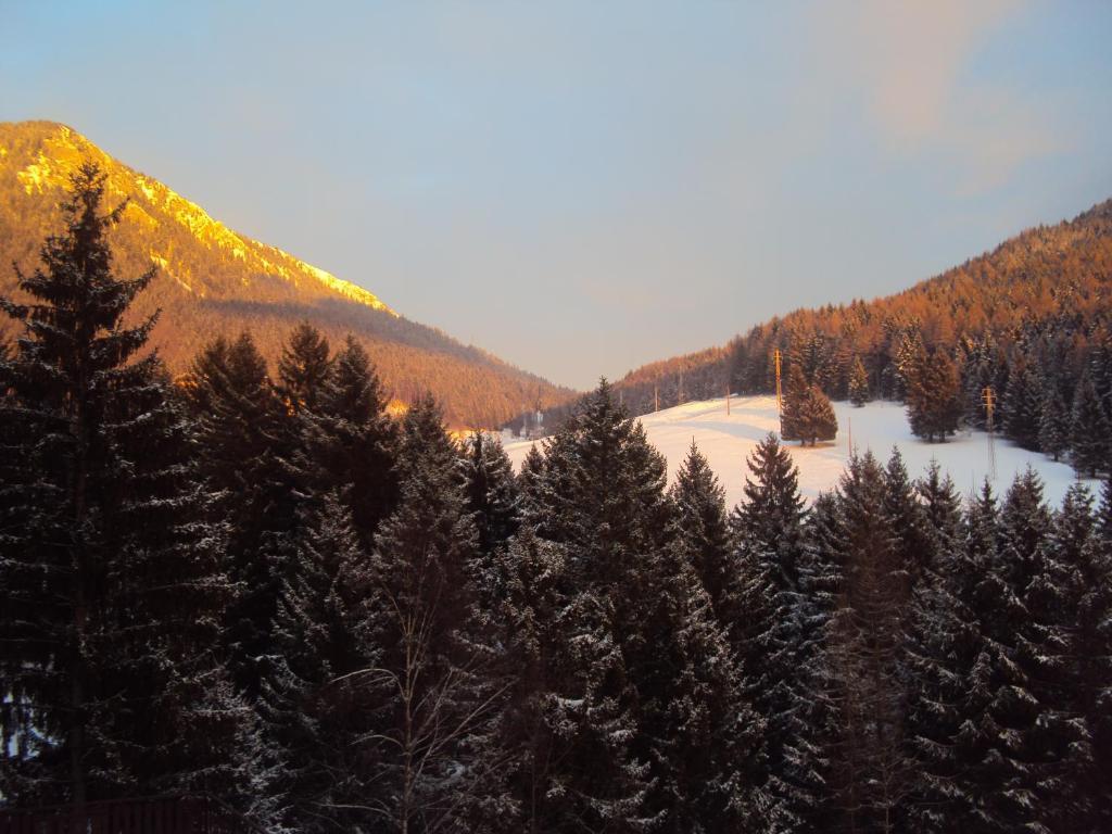 Hotel Des Alpes Castione della Presolana Zimmer foto